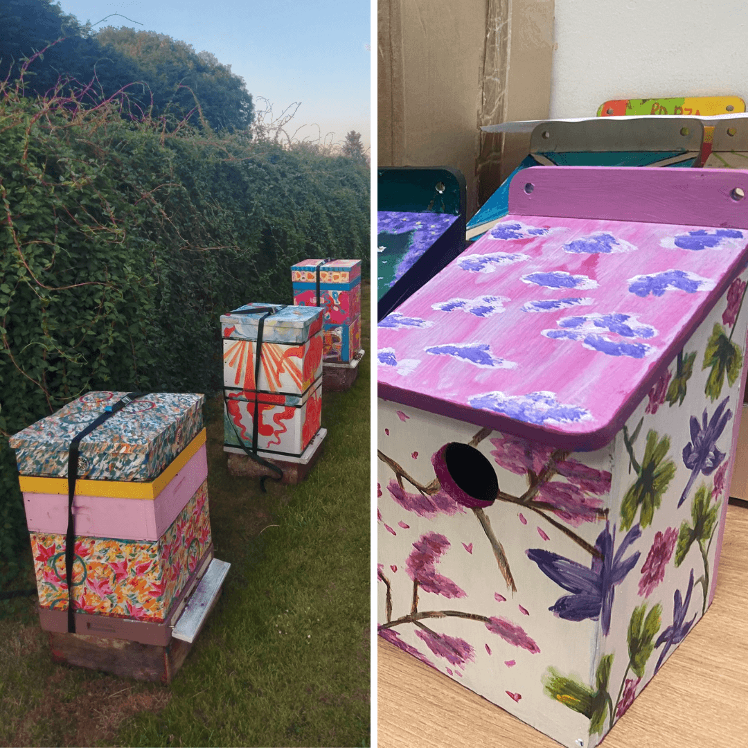 Capi Bird Box Award Winning Bird Boxes & Bug Hotels | Gyle Shopping Centre